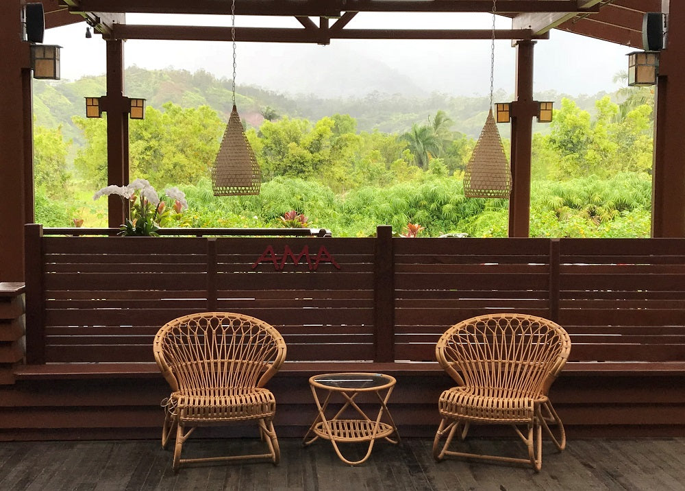 Lush jungle on Hanalei