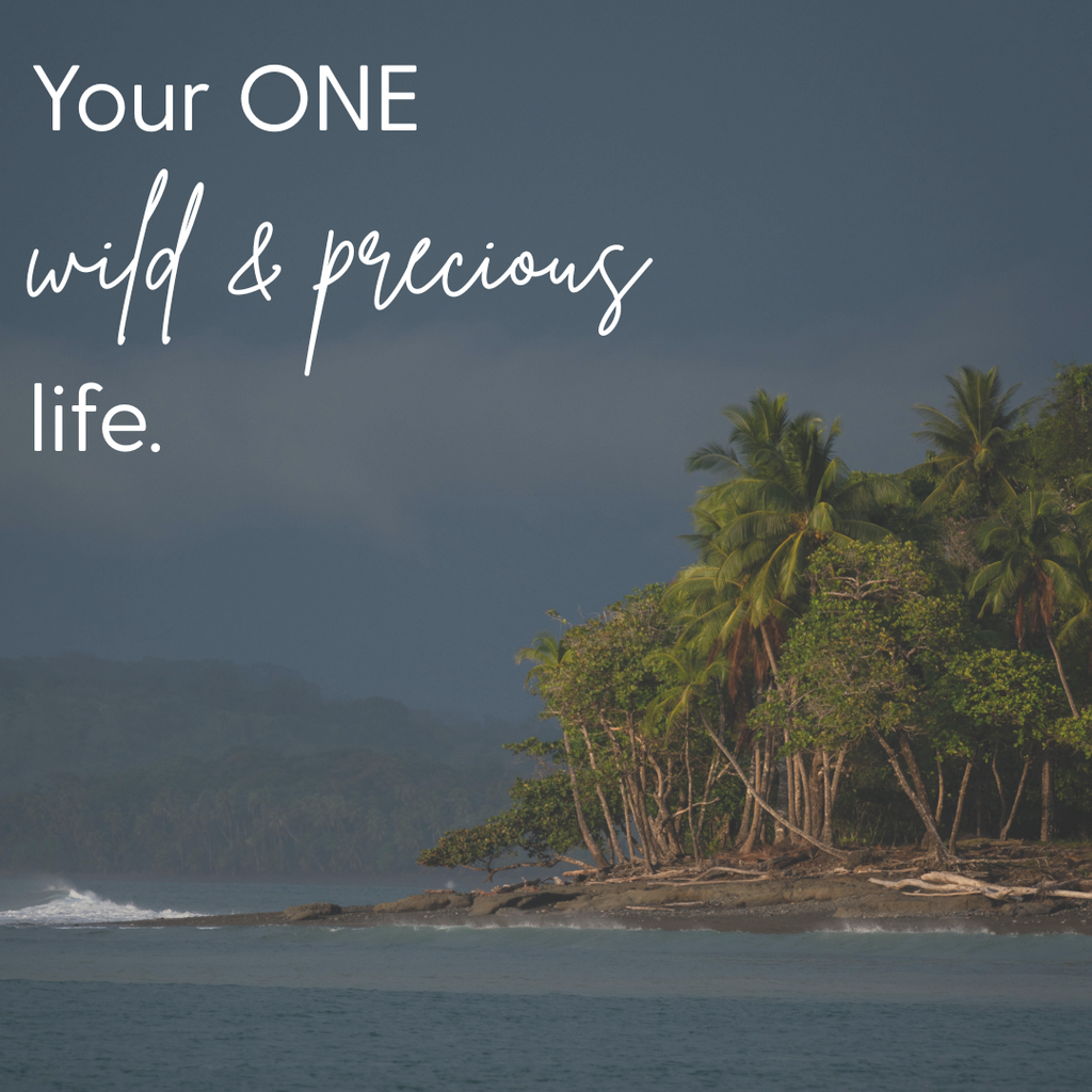 Tell me, what is it you plan to do with your one wild and precious life?