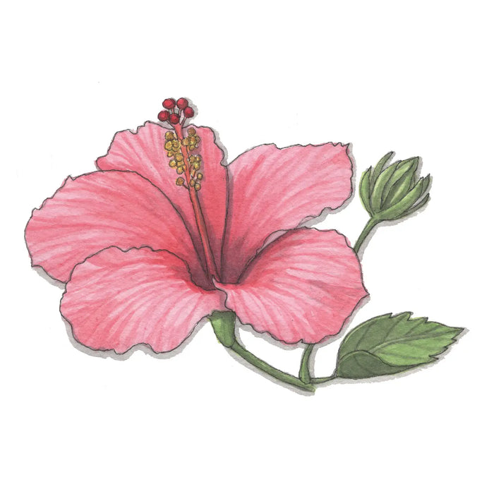 Hibiscus Card