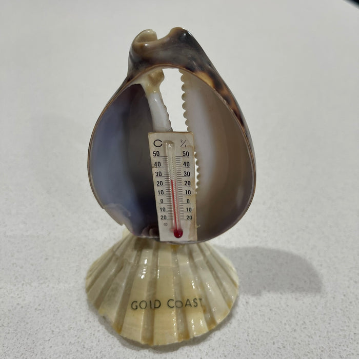Shell Thermometer - Gold Coast