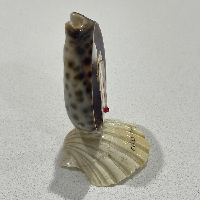 Shell Thermometer - Gold Coast