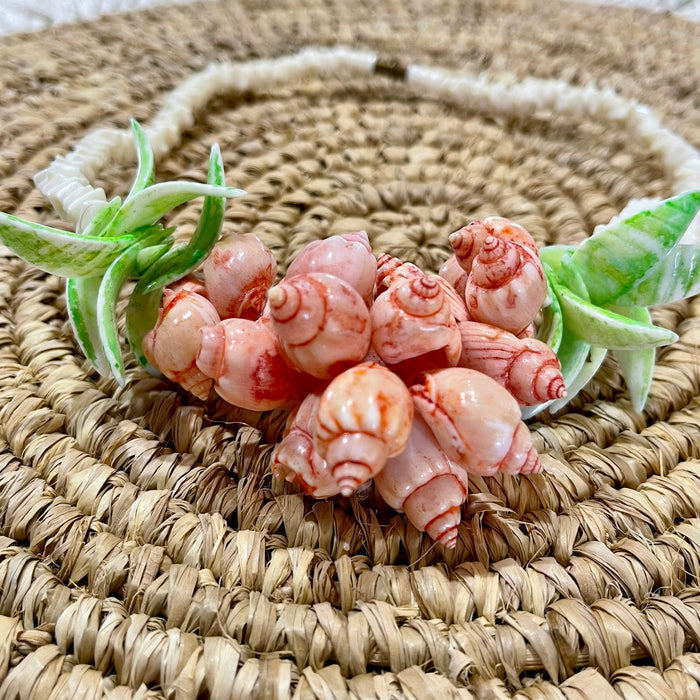 Shell Bunch Necklace