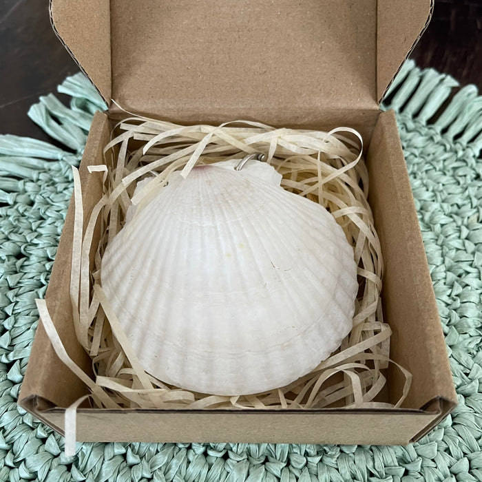 Scallop Shell Notebook - 50 Pages