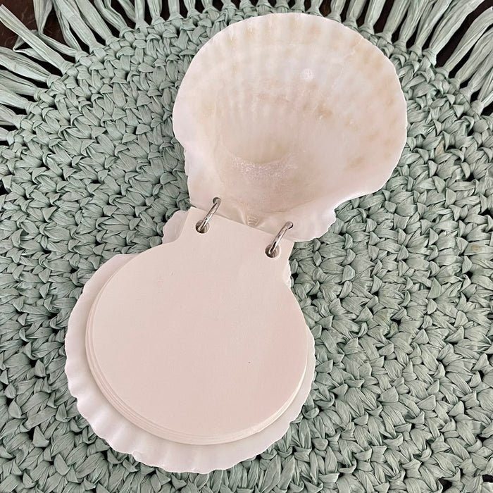 Scallop Shell Notebook - 50 Pages