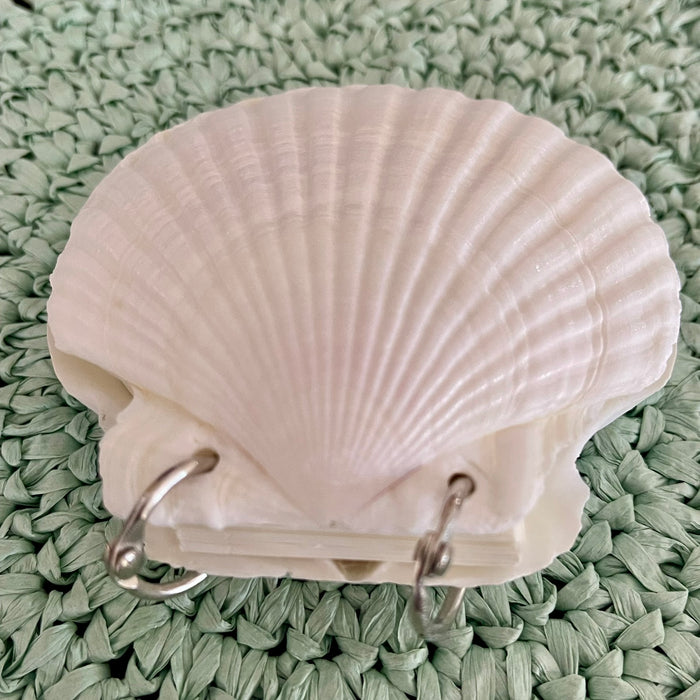 Scallop Shell Notebook - 50 Pages