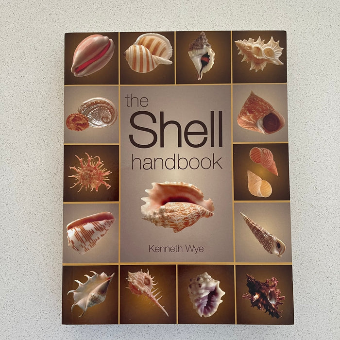 Sea Shell Books