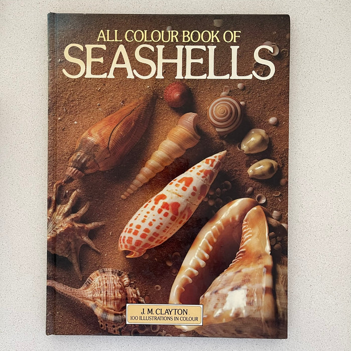 Sea Shell Books