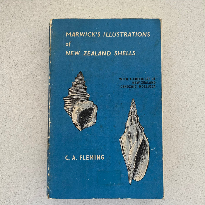 Sea Shell Books