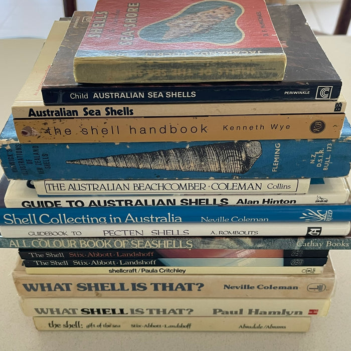 Sea Shell Books