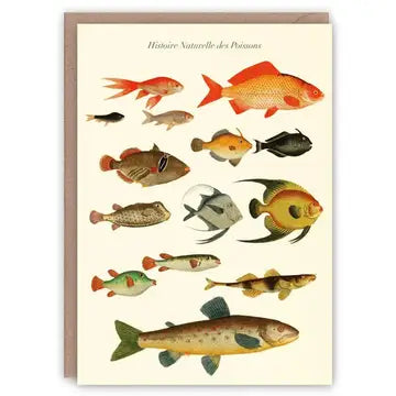 Historie Evolution des Poissons Card