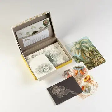 Letter Writing Set - Art Forms in Nature