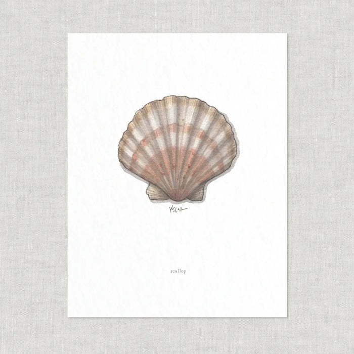 Scallop Shell Print