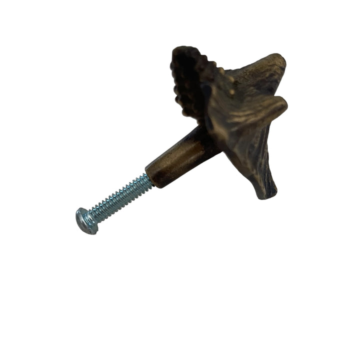 Brass Shell Drawer Knob