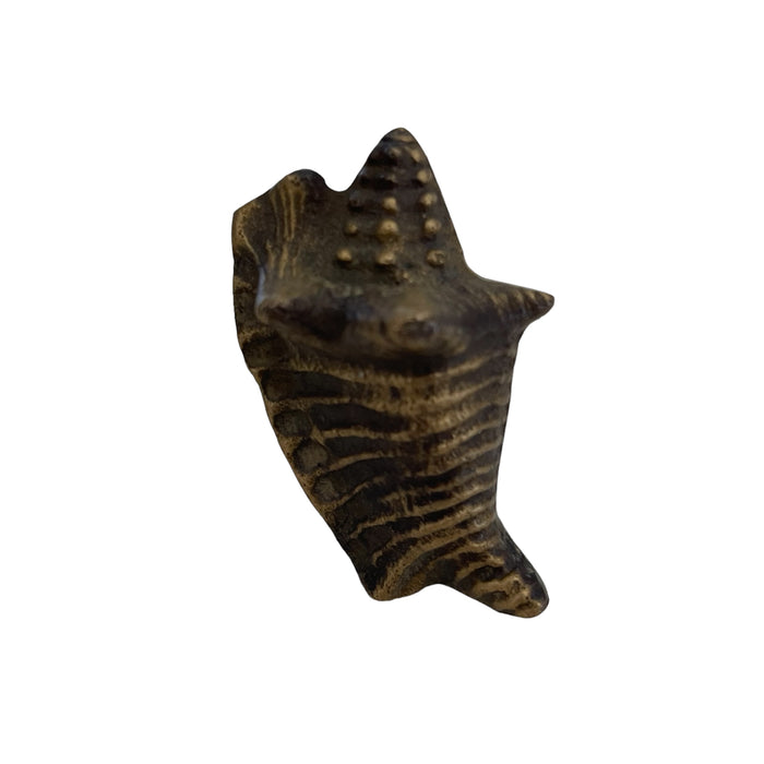Brass Shell Drawer Knob