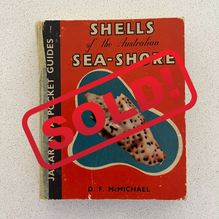Sea Shell Books
