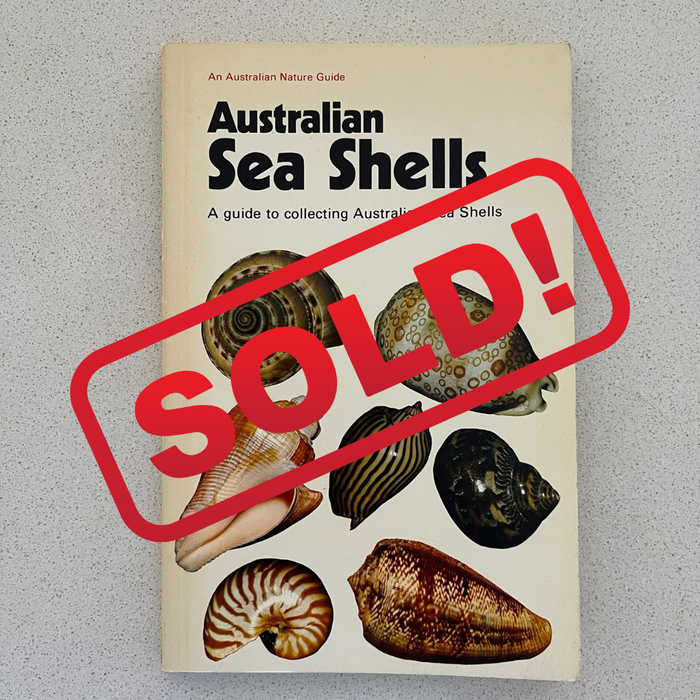 Sea Shell Books