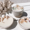 Seashell pinched ceramic candle with natural seashells and dried botanicals