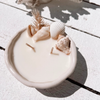 Seashell pinched ceramic candle with natural seashells and dried botanicals