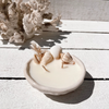 Seashell pinched ceramic candle with natural seashells and dried botanicals