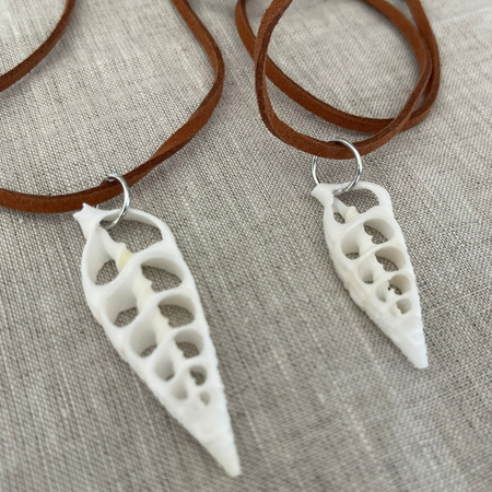 Natural cut shell necklace showing raw unpolished shell detail on leather cord, earthy coastal style