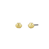 Gold baby scallop shell stud earrings close-up