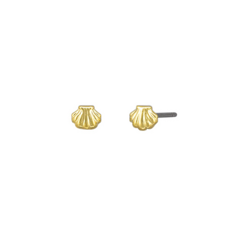 Gold baby scallop shell stud earrings close-up