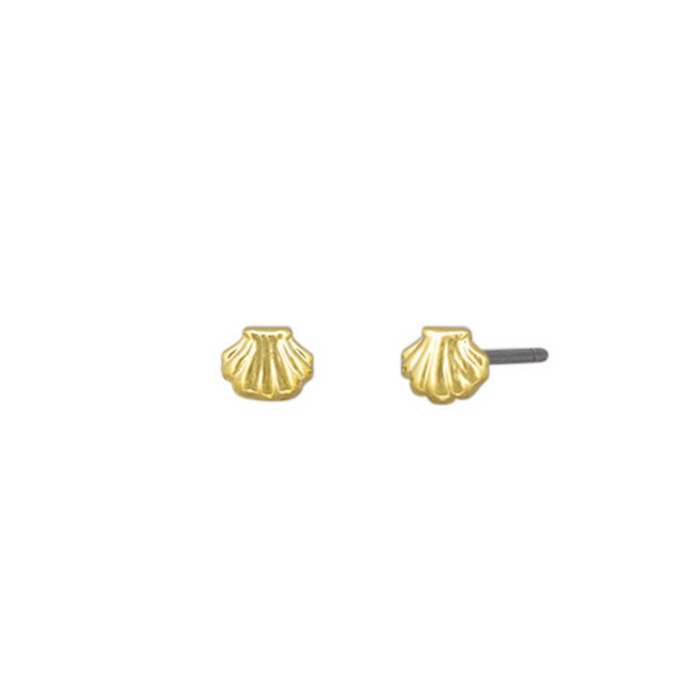 Gold baby scallop shell stud earrings close-up