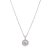 Coastal-inspired scallop shell disc necklace in gold and silver