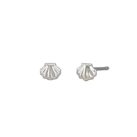 Silver baby scallop shell stud earrings on display