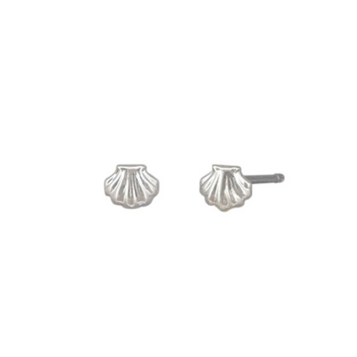 Silver baby scallop shell stud earrings on display