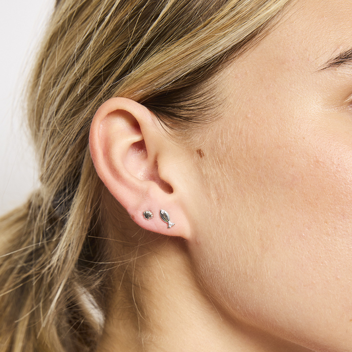 Silver baby scallop shell stud earrings on display