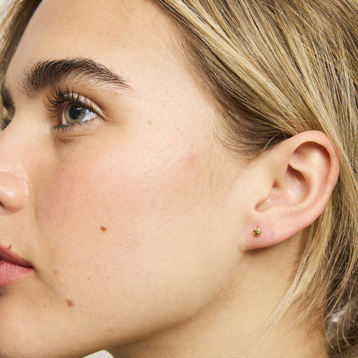 Gold baby scallop shell stud earrings close-up