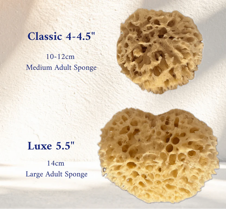 Luxe Bath Sponge