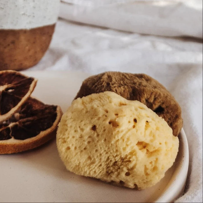 Fino silk sea sponges natural facial cleansing sensitive skin