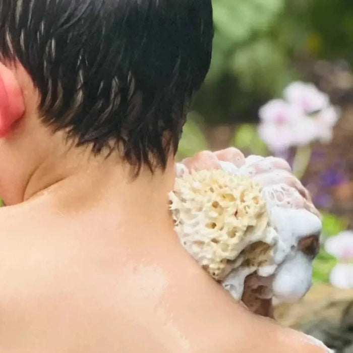 The Gentle Sponge - Multi-use