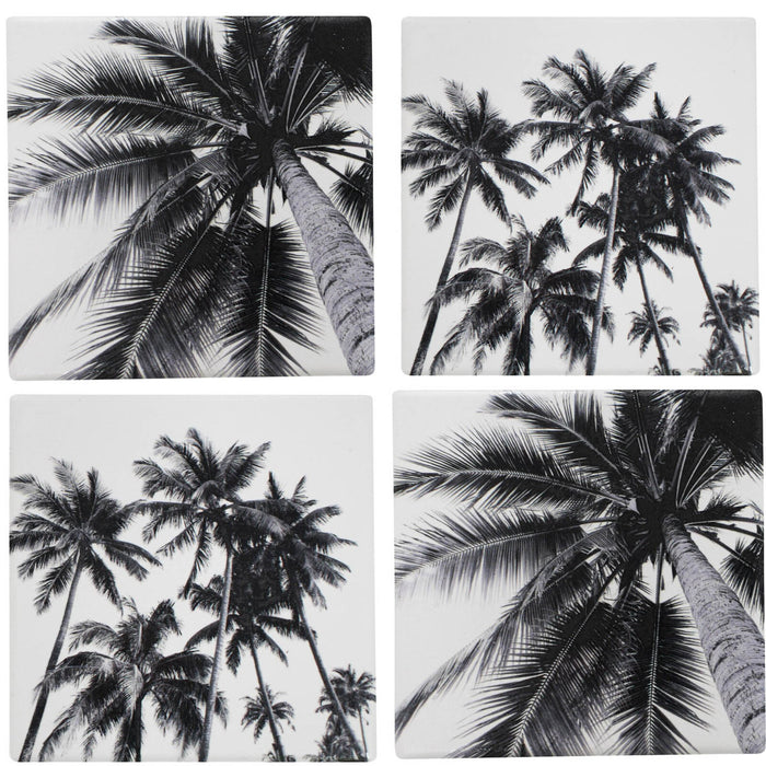 Black + White Palm Coasters - Set 4