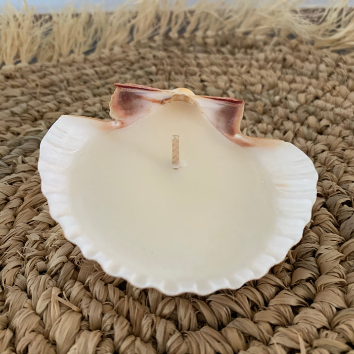 Scallop Shell Coconut + Vanilla Candle