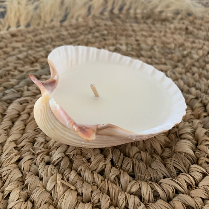 Scallop Shell Coconut + Vanilla Candle