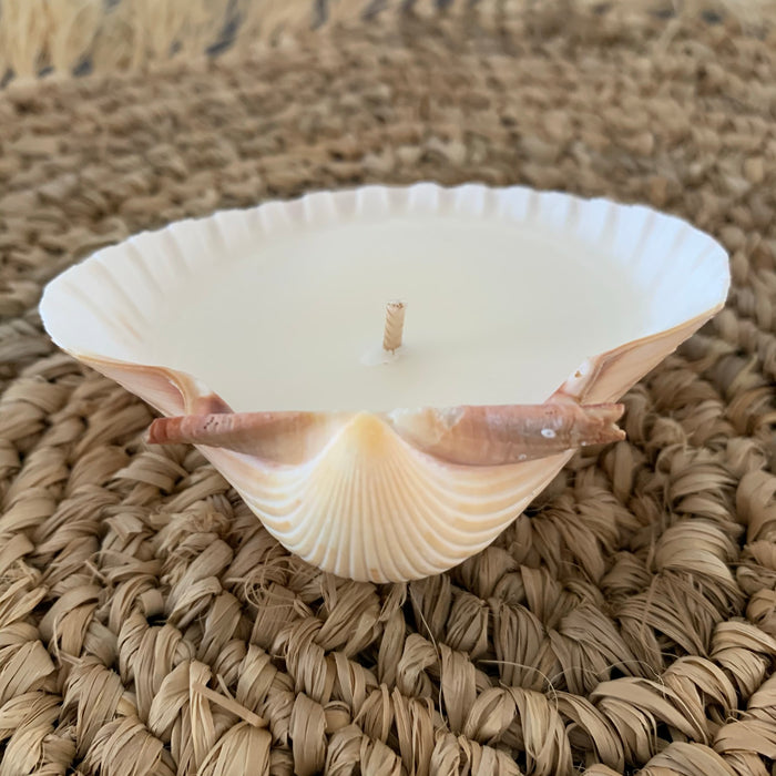 Scallop Shell Coconut + Vanilla Candle
