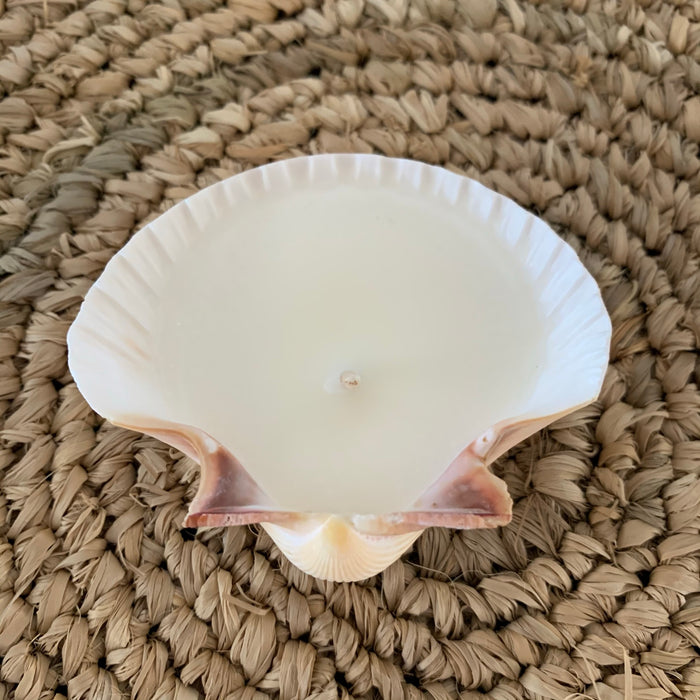Scallop Shell Coconut + Vanilla Candle