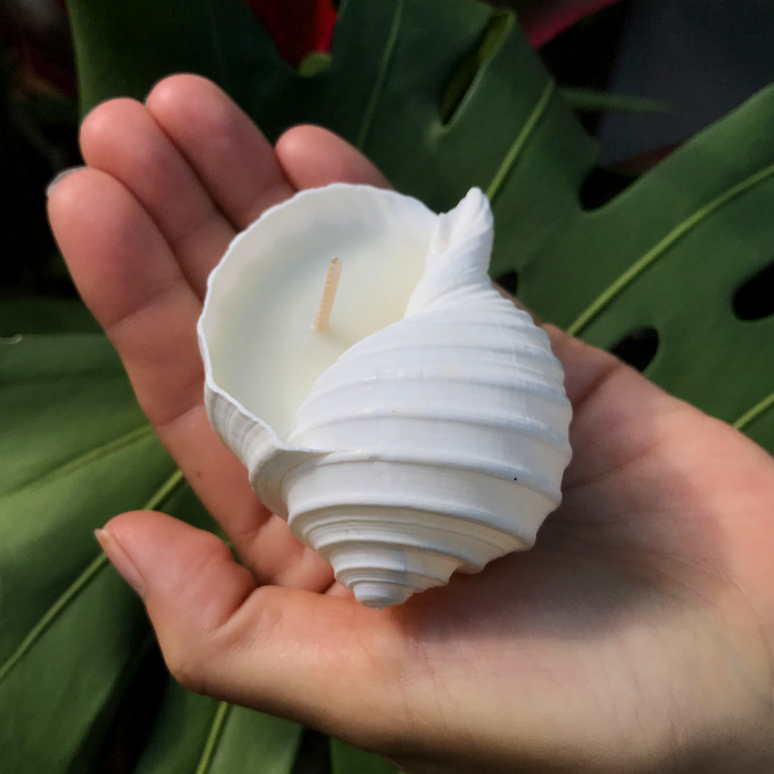 Tonna Shell Coconut + Vanilla Candle - Tiny