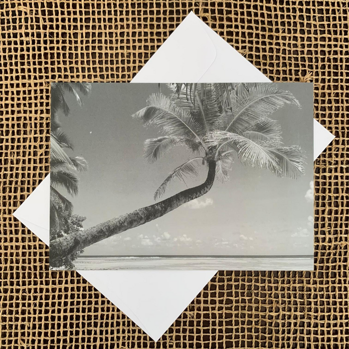 Cocos Palm Postcard
