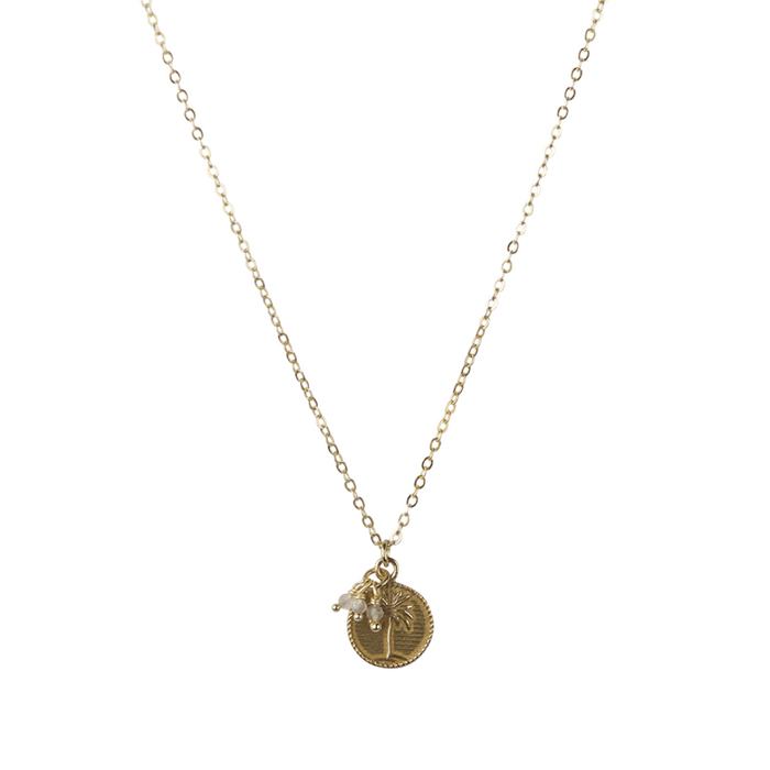 Palm Coin + Labradorite Necklace