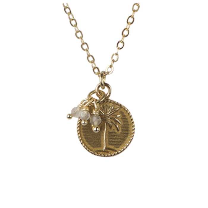 Palm Coin + Labradorite Necklace